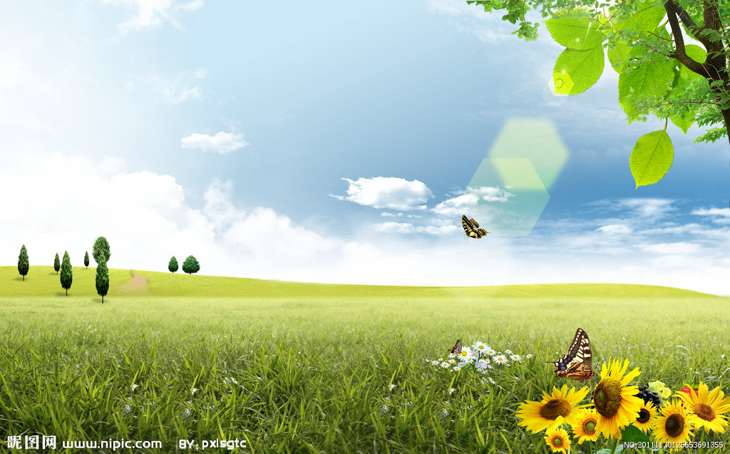 3e6e356be5ca4cd78a1f38efde292650